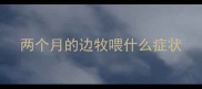 两个月的边牧喂什么症状