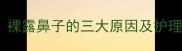 哈士奇鼻子没毛正常吗裸露鼻子的三大原因及护理指南附高清对比图