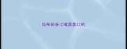 拉布拉多上嘴唇是红的