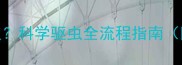 狗狗驱虫多久一次科学驱虫全流程指南附用药注意事项
