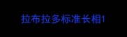 拉布拉多标准长相