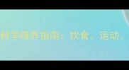 4个月萨摩耶科学喂养指南饮食运动健康全攻略
