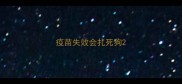 疫苗失效会扎死狗