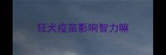 狂犬疫苗影响智力嘛
