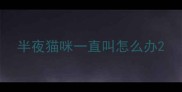 半夜猫咪一直叫怎么办