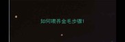 如何喂养金毛步骤