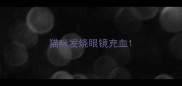 猫咪发烧眼镜充血