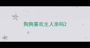 狗狗喜欢主人亲吗