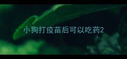 小狗打疫苗后可以吃药