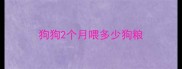 狗狗2个月喂多少狗粮
