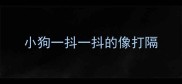 小狗一抖一抖的像打隔
