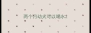 两个月幼犬可以喝水