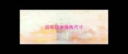 拉布拉多身高尺寸