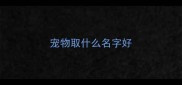 宠物取什么名字好