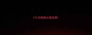 2个月狗狗大便发黑