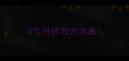 6个月德牧犬体重