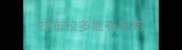 拉布拉多能有多高