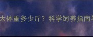 迷你泰迪犬最大体重多少斤科学饲养指南与体重管理全