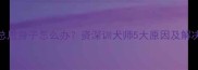 边牧总甩身子怎么办资深训犬师5大原因及解决方法