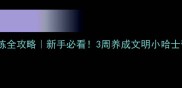 哈士奇幼犬如厕训练全攻略新手必看3周养成文明小哈士奇附防拆家技巧