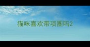 猫咪喜欢带项圈吗