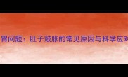边牧肠胃问题肚子鼓胀的常见原因与科学应对指南