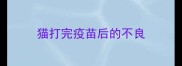 猫打完疫苗后的不良