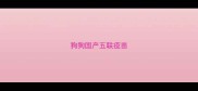 狗狗国产五联疫苗
