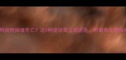狗狗突然抽搐死亡这5种症状需立即送医附紧急处理指南