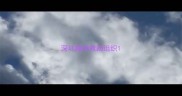 深圳猫咪救助组织