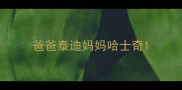 爸爸泰迪妈妈哈士奇