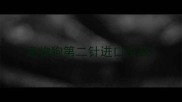 宠物狗第二针进口疫苗
