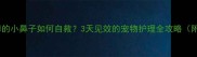 被感冒束缚的小鼻子如何自救3天见效的宠物护理全攻略附真实案例