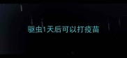 驱虫1天后可以打疫苗