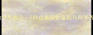 纯种泰迪犬毛色全7种经典颜色鉴别与科学养护指南