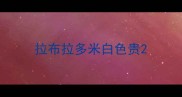 拉布拉多米白色贵