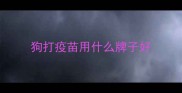 狗打疫苗用什么牌子好