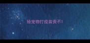 给宠物打疫苗贵不