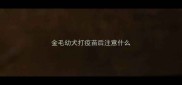 金毛幼犬打疫苗后注意什么