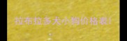拉布拉多犬小狗价格表