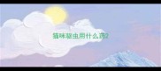 猫咪驱虫用什么药