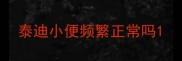 泰迪小便频繁正常吗