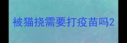 被猫挠需要打疫苗吗