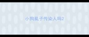 小狗虱子传染人吗