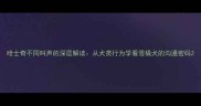 哈士奇不同叫声的深层解读从犬类行为学看雪橇犬的沟通密码