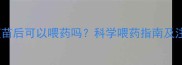 狗狗接种疫苗后可以喂药吗科学喂药指南及注意事项全