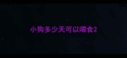 小狗多少天可以喂食