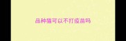 品种猫可以不打疫苗吗
