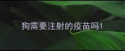 狗需要注射的疫苗吗