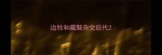 边牧和藏獒杂交后代